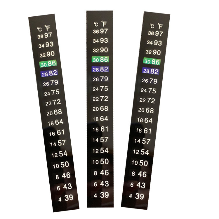 RT-038
