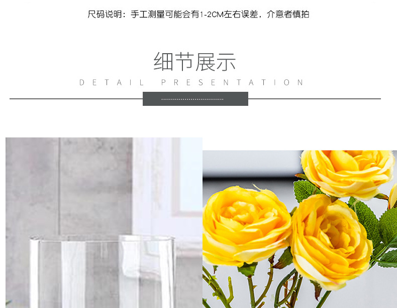 圆柱直筒玻璃花瓶_08