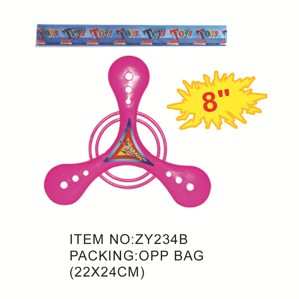 ZY234B
