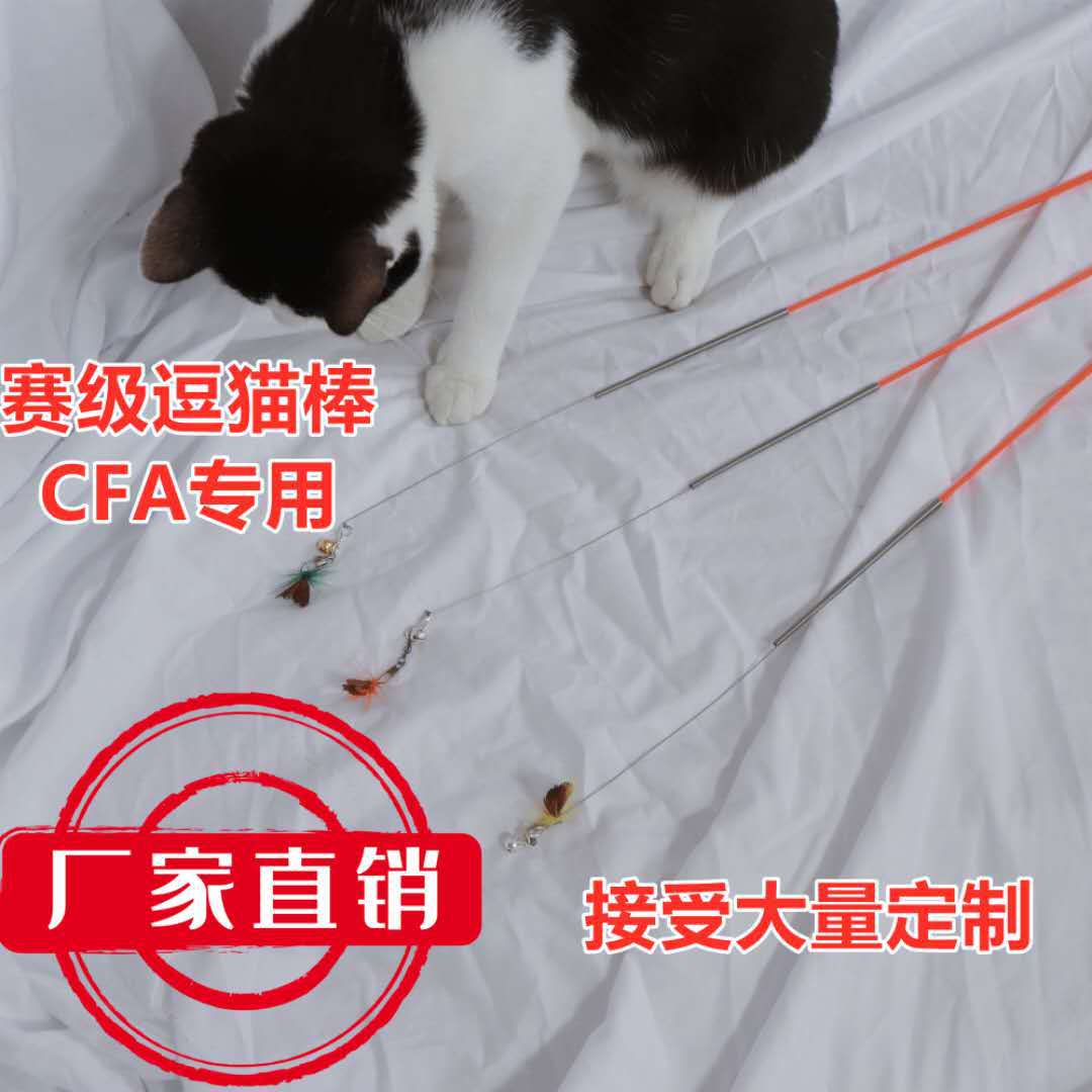 552c597a96c3eeff47010ba406181c