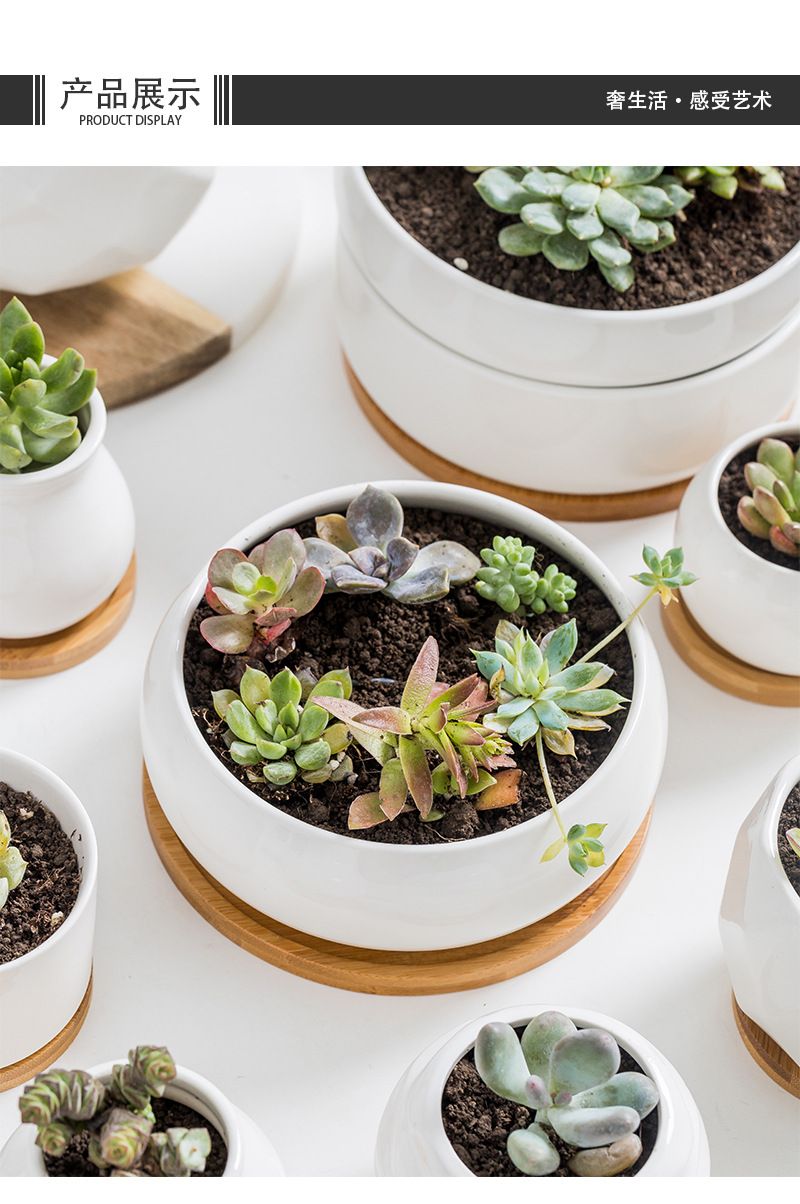 多肉种植盆_06.jpg