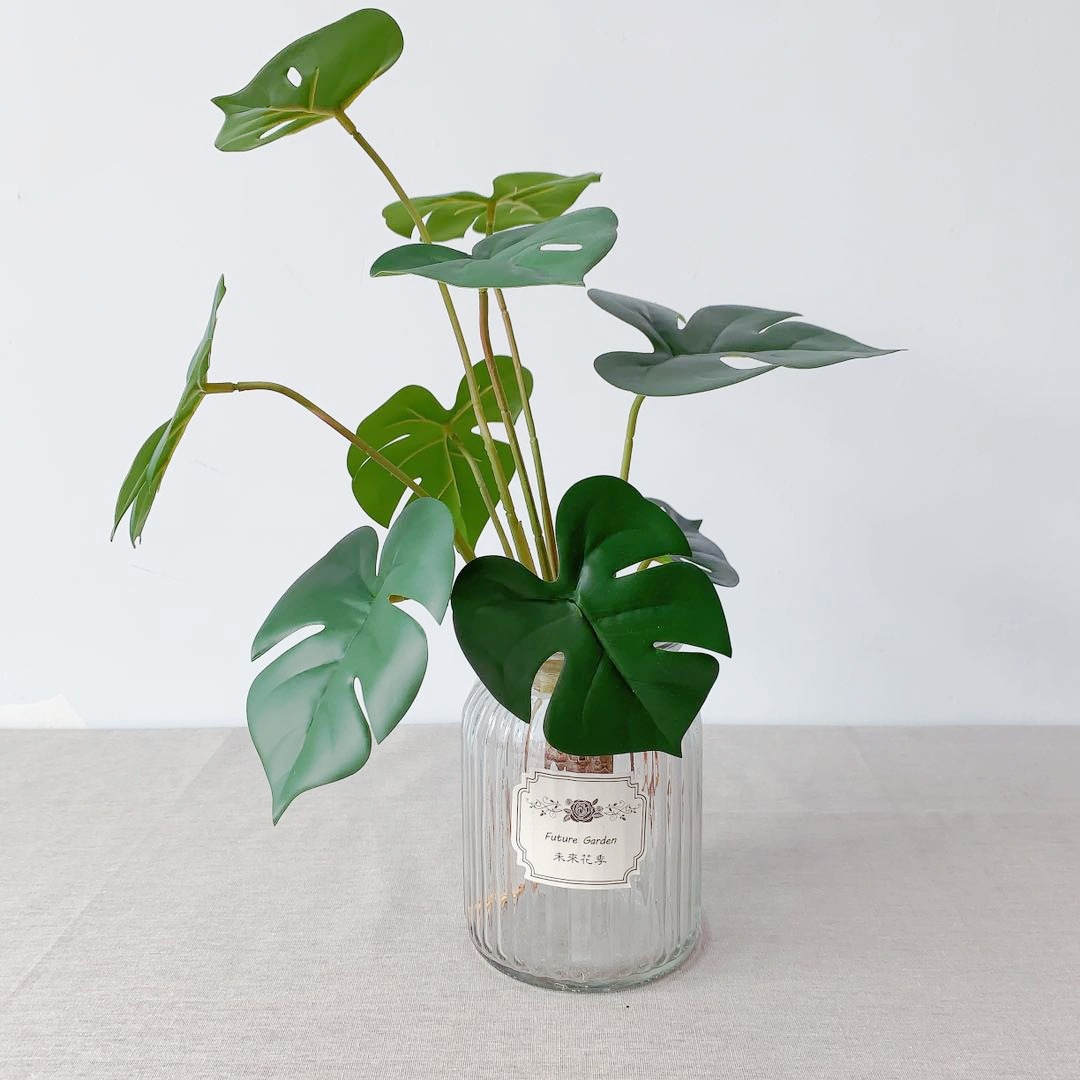 8b495b3da4f64584d2d66aea62c502