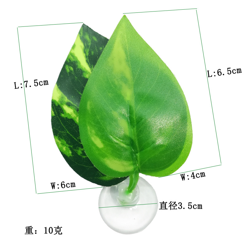 双色斗鱼叶