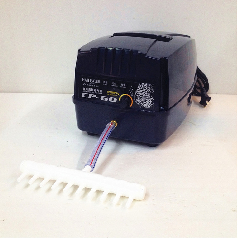 9516687682_396087942