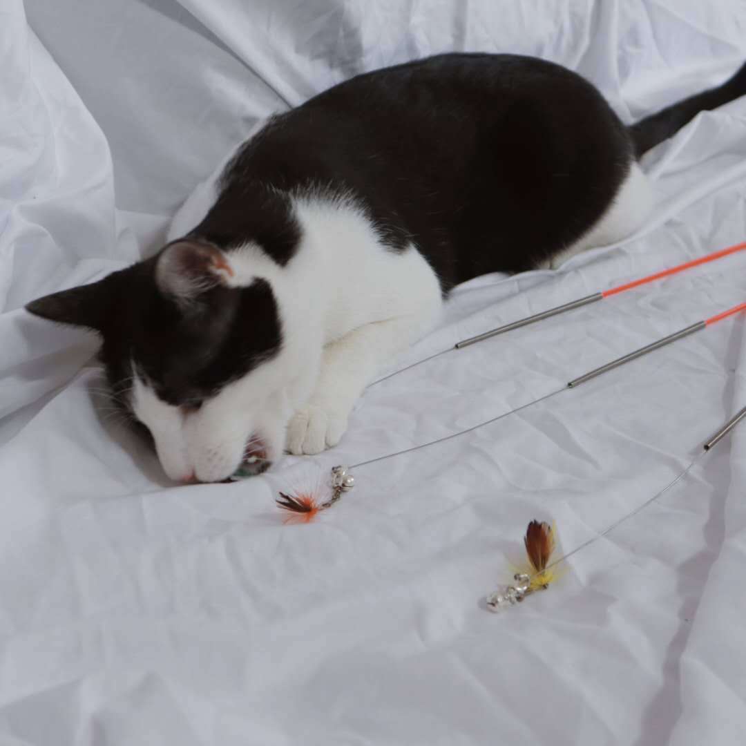 5f442b8a8d0f228358d5bffa3a5793