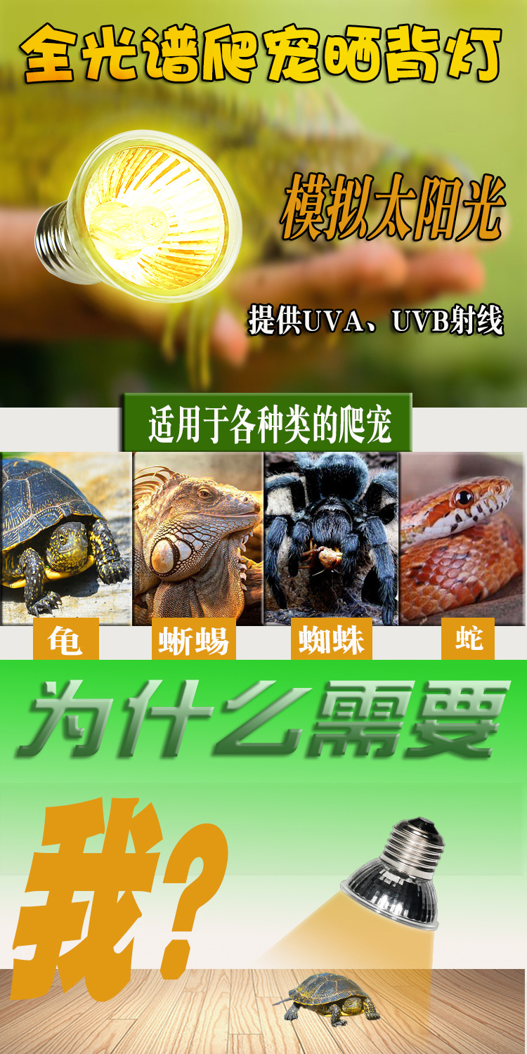详情1.jpg