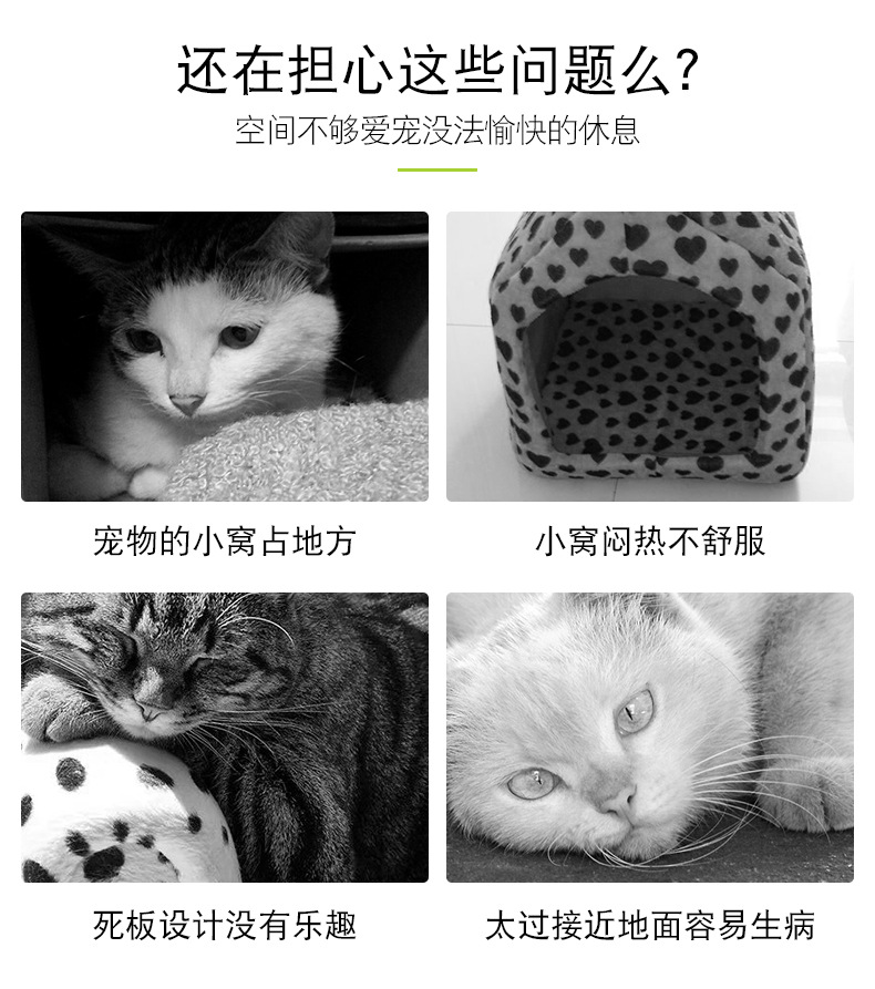 猫吊床_02.jpg