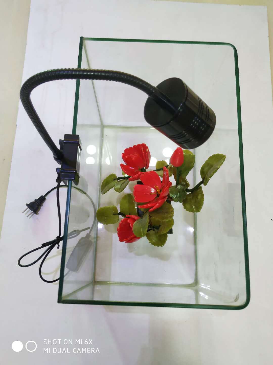 微信图片_20200413021931