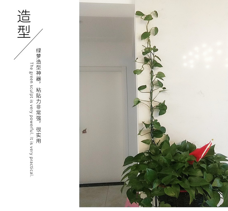 QQ图片20200703125937