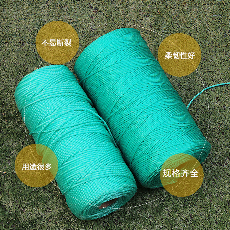 12963524917_2076298457_副本