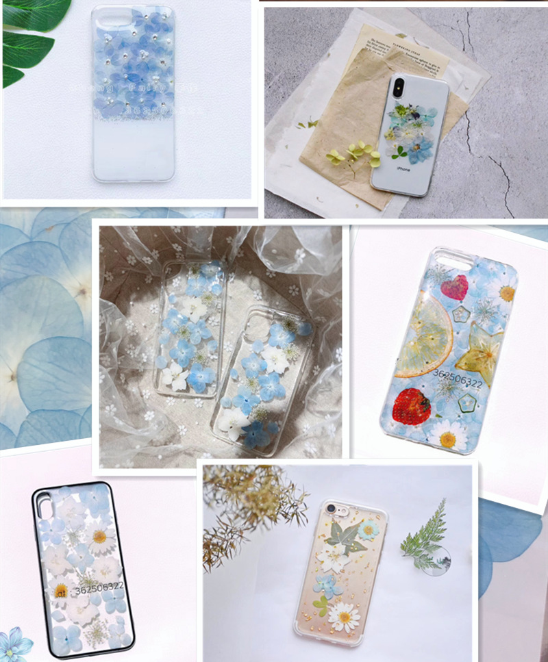 4CC30564E1E6344604E71DAE1E0ED4