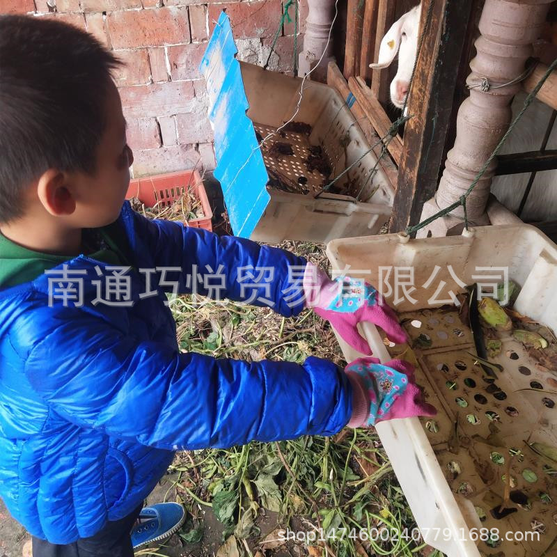 微信图片_20201026221603_副本