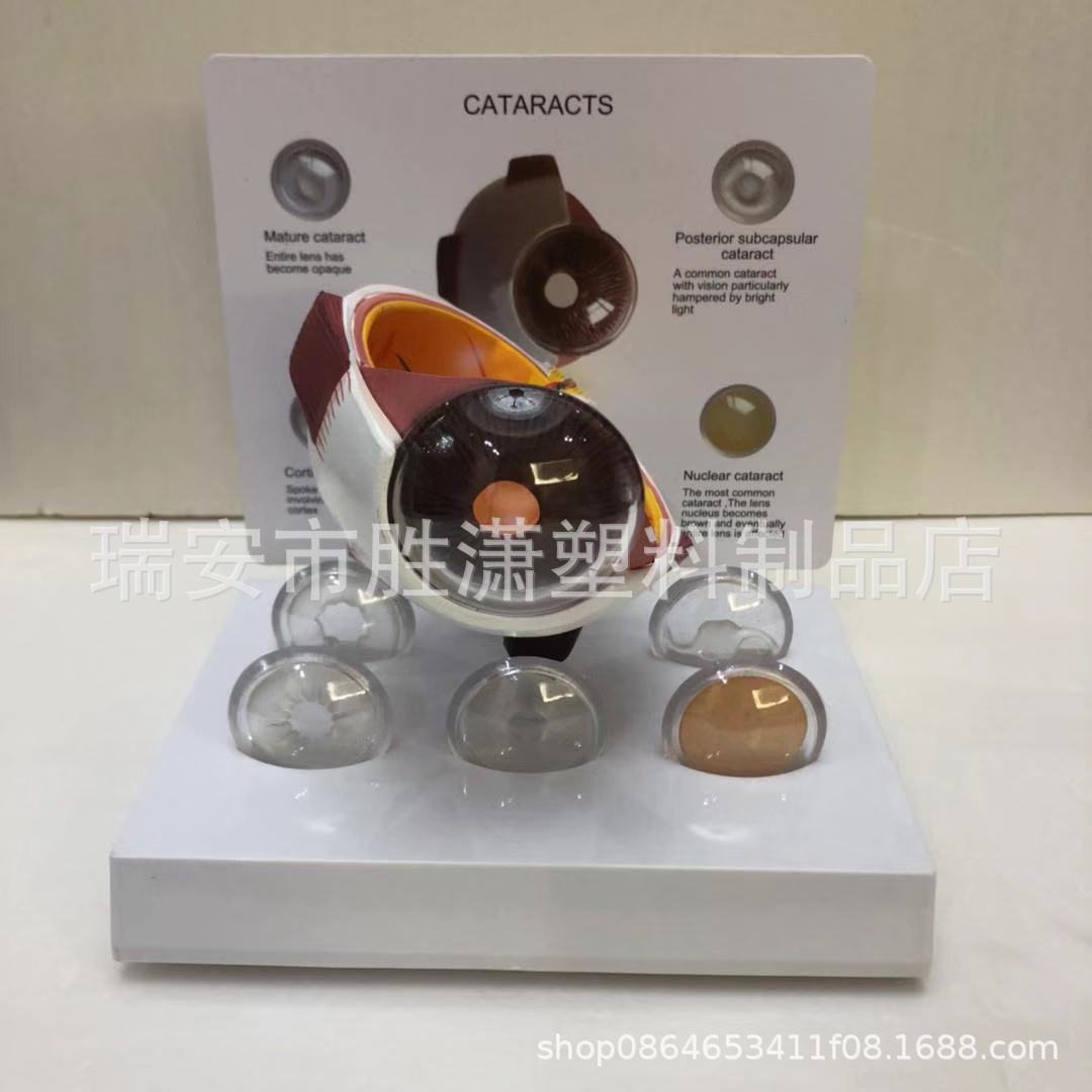 d22a608bcb99d05c1bc94d6b57706a