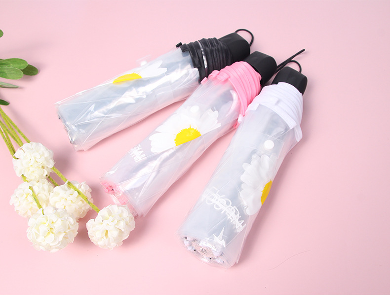 小雏菊伞_05.jpg