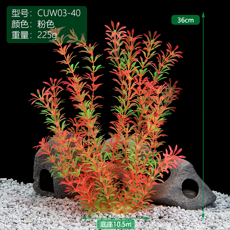 CUW03-40粉丝.jpg
