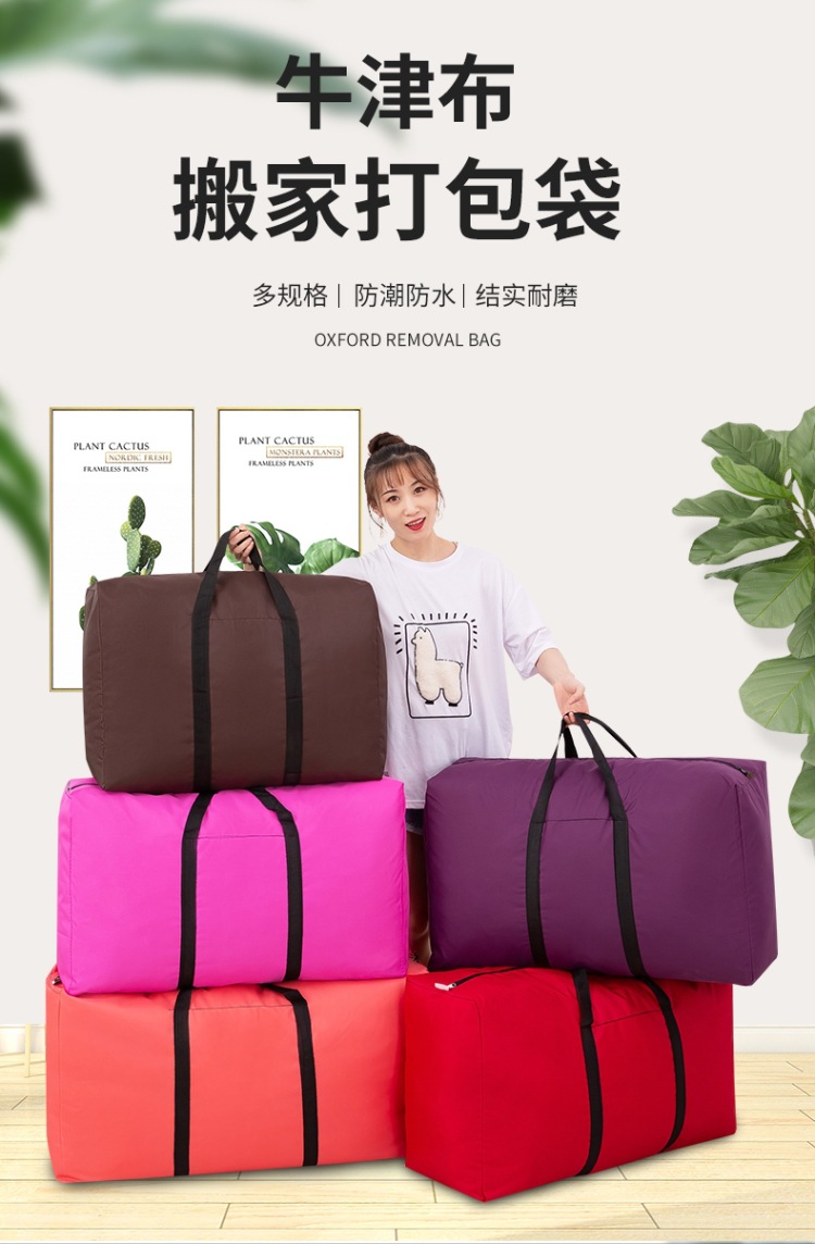 搬家袋 (1).jpg