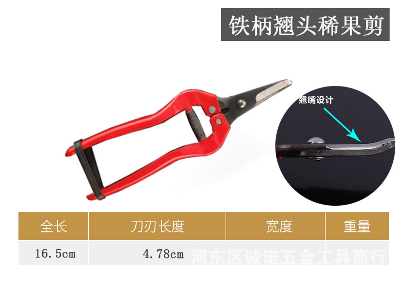 O1CN01xHOAG21ssyojnw8xN_!!3408