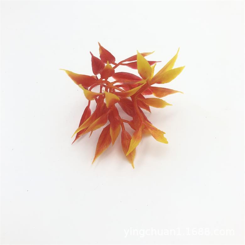 2020-06-03 172133.jpg