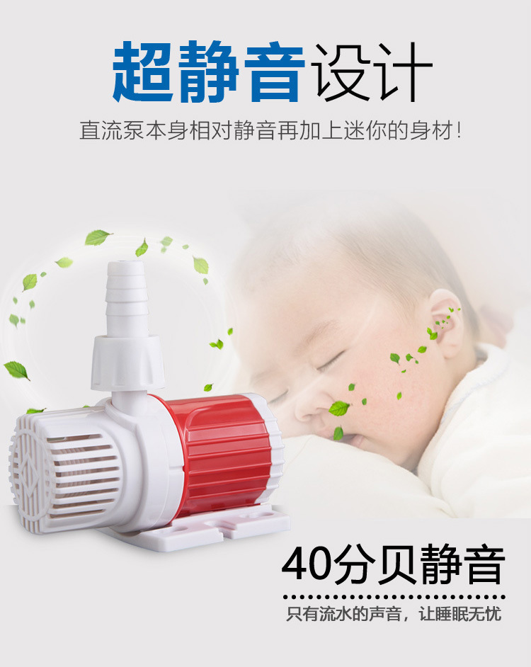 详情01.jpg