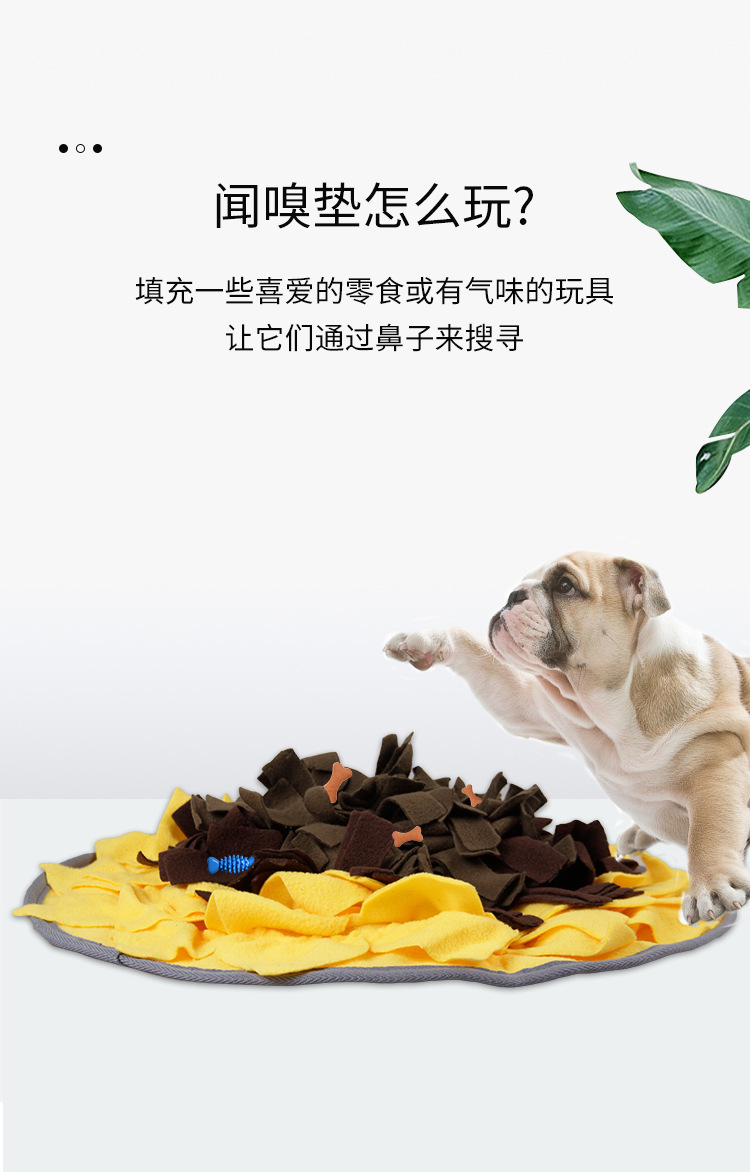 闻嗅垫-1 (6).jpg
