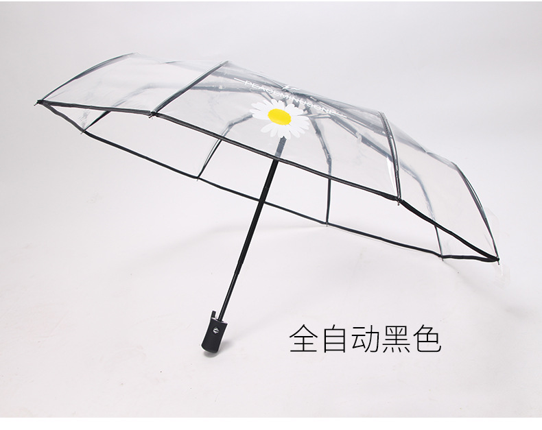 小雏菊伞_06.jpg