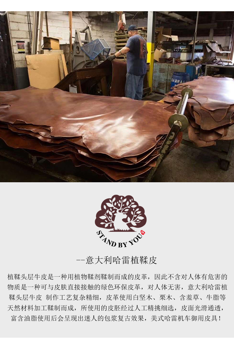 哈雷皮质.JPG