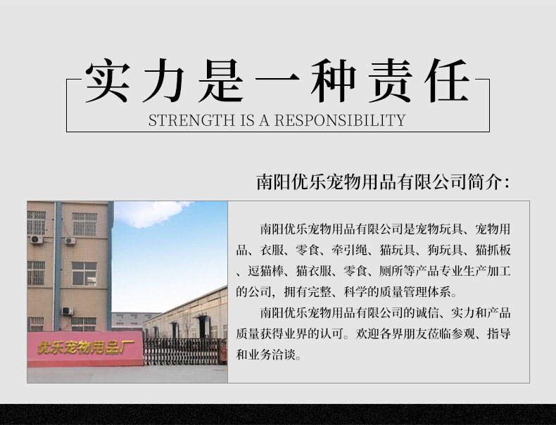 公司简介
