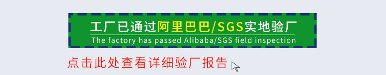 验厂报告链接图