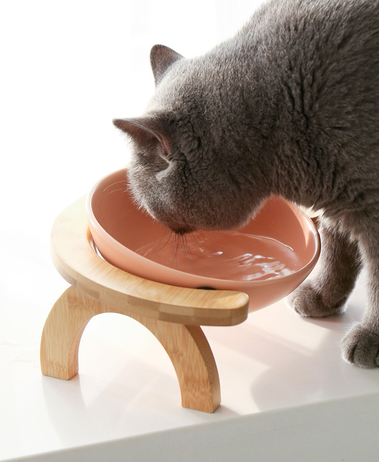 彩虹架猫碗_07.jpg