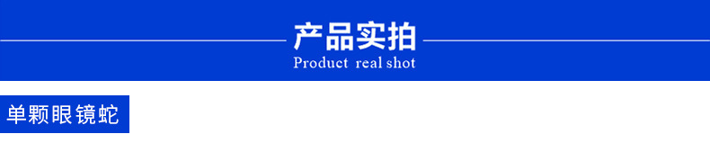 未标题-1_01.jpg