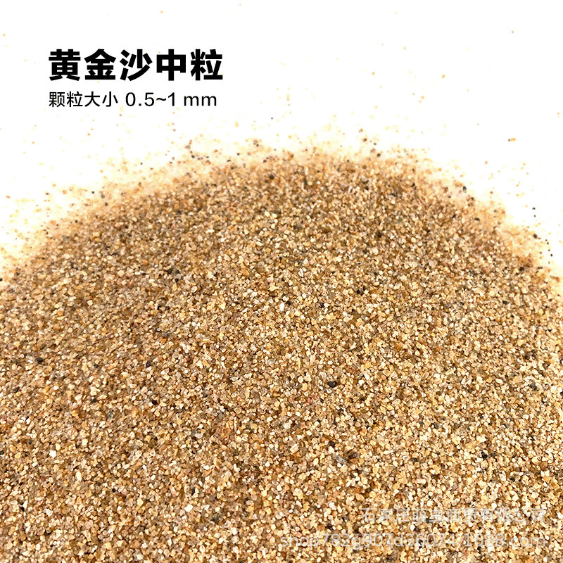 D_0016_黄金沙中粒.jpg