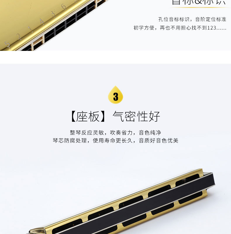 阿里-28孔口琴_08.jpg