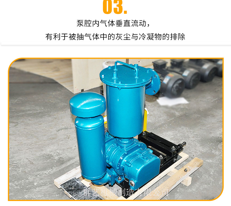 罗茨真空泵_06
