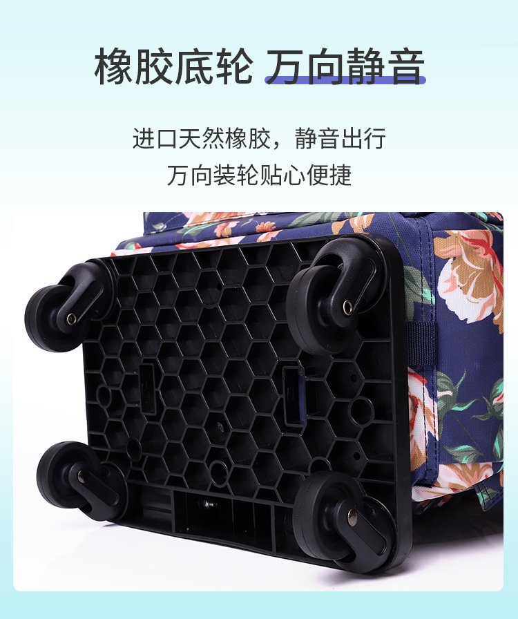 拉杆袋阳先生_r6_c1.jpg