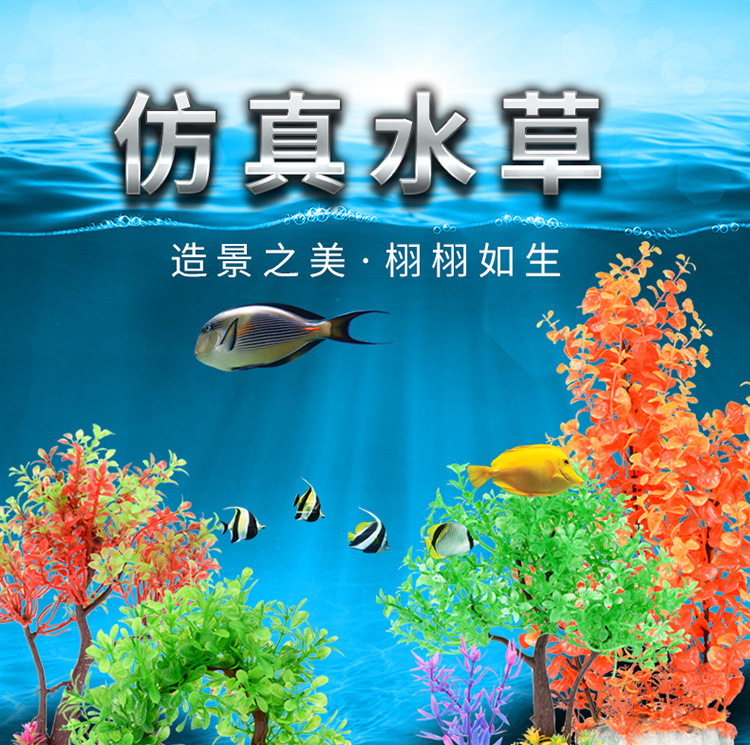 水草-详情750_01.jpg
