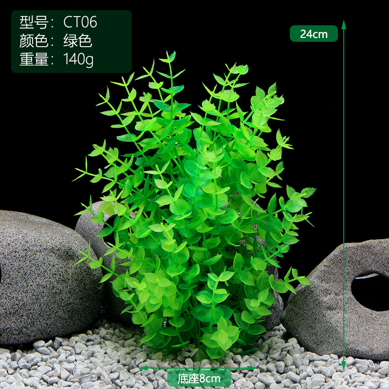 CT006绿色.jpg