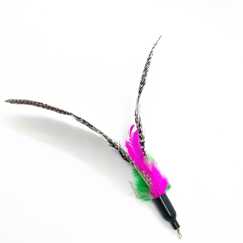 微信图片_20200927173547