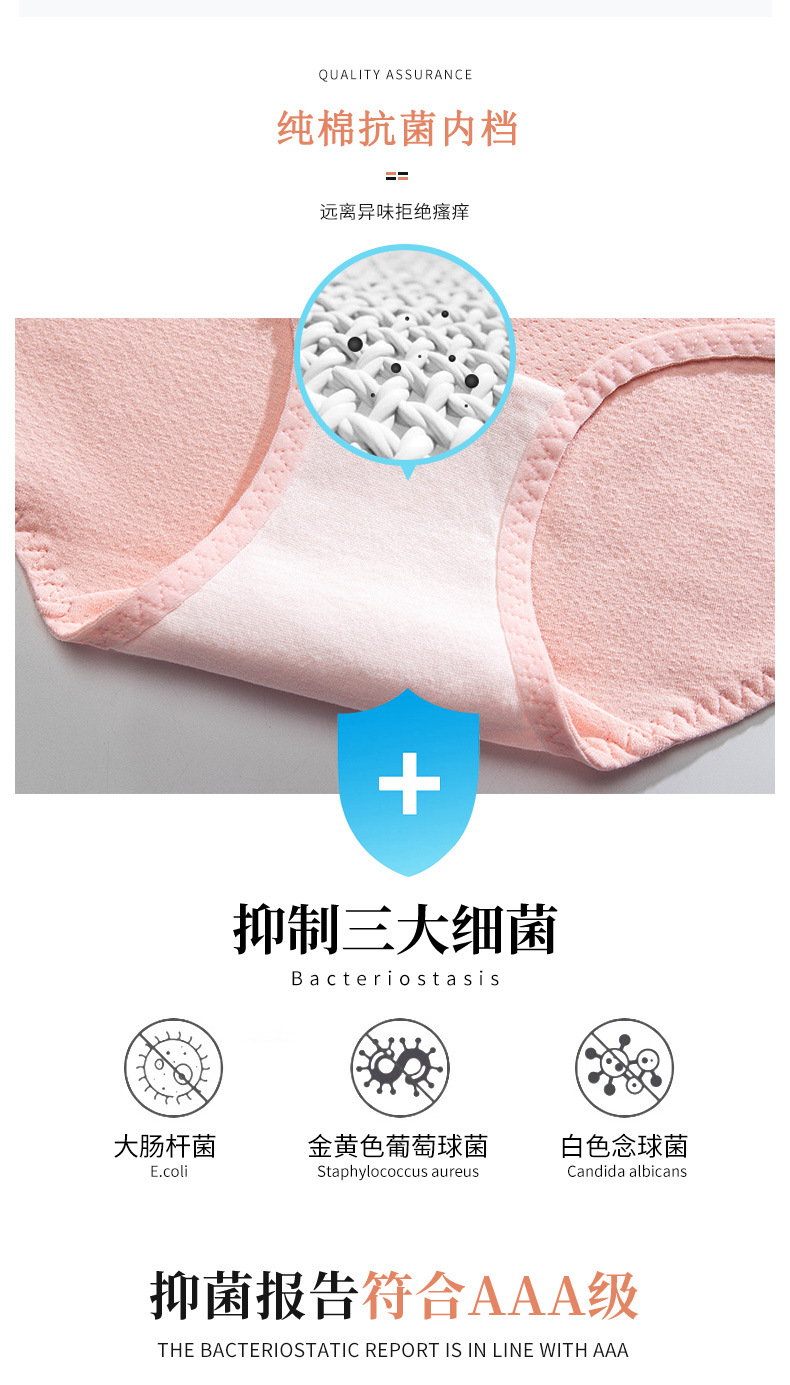 尚乐美+6040改_03