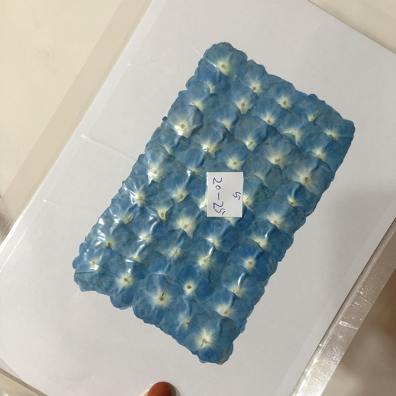 A950DFC1B265A6343FC18E0A466F08