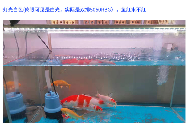 阿里鱼缸灯2020820_30.jpg