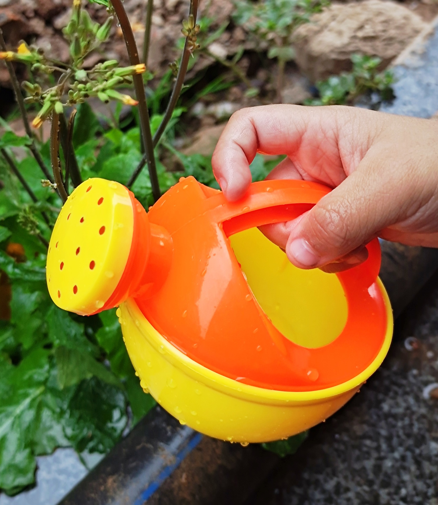 0DD7871CB94DB4F20D62E357151651