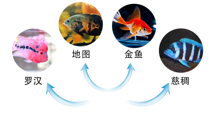 海盐详情切片_04