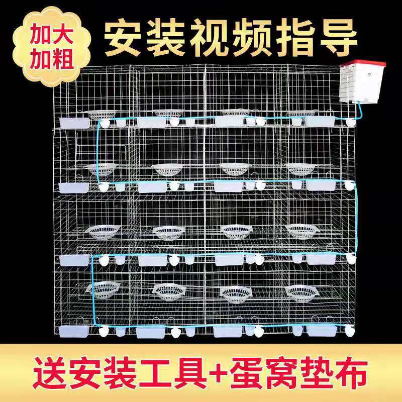 微信图片_202011141148196