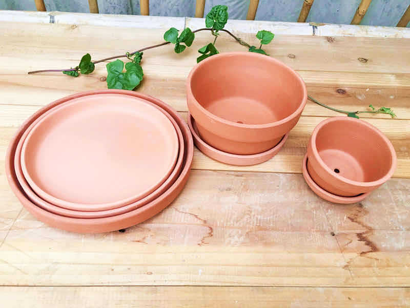 微信图片_20200311141502