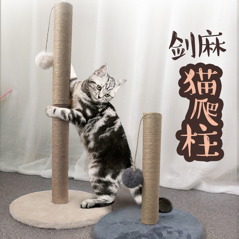猫爬柱-1