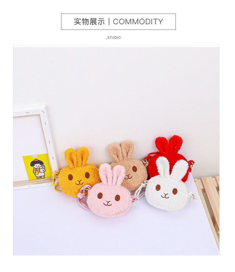 静物展示.jpg