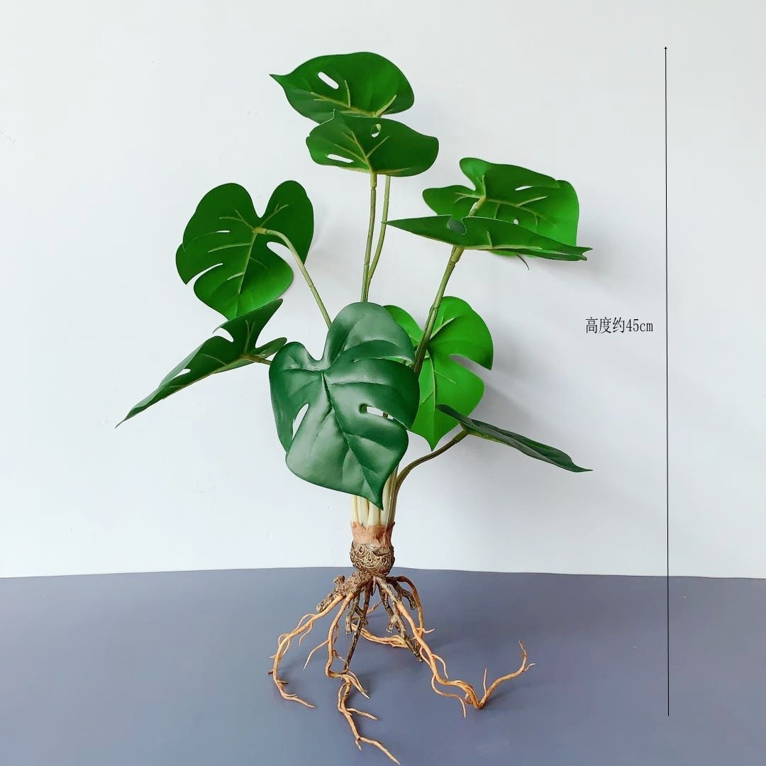 852acfbc4ab3f00c6a5d1cb9aaaf0f