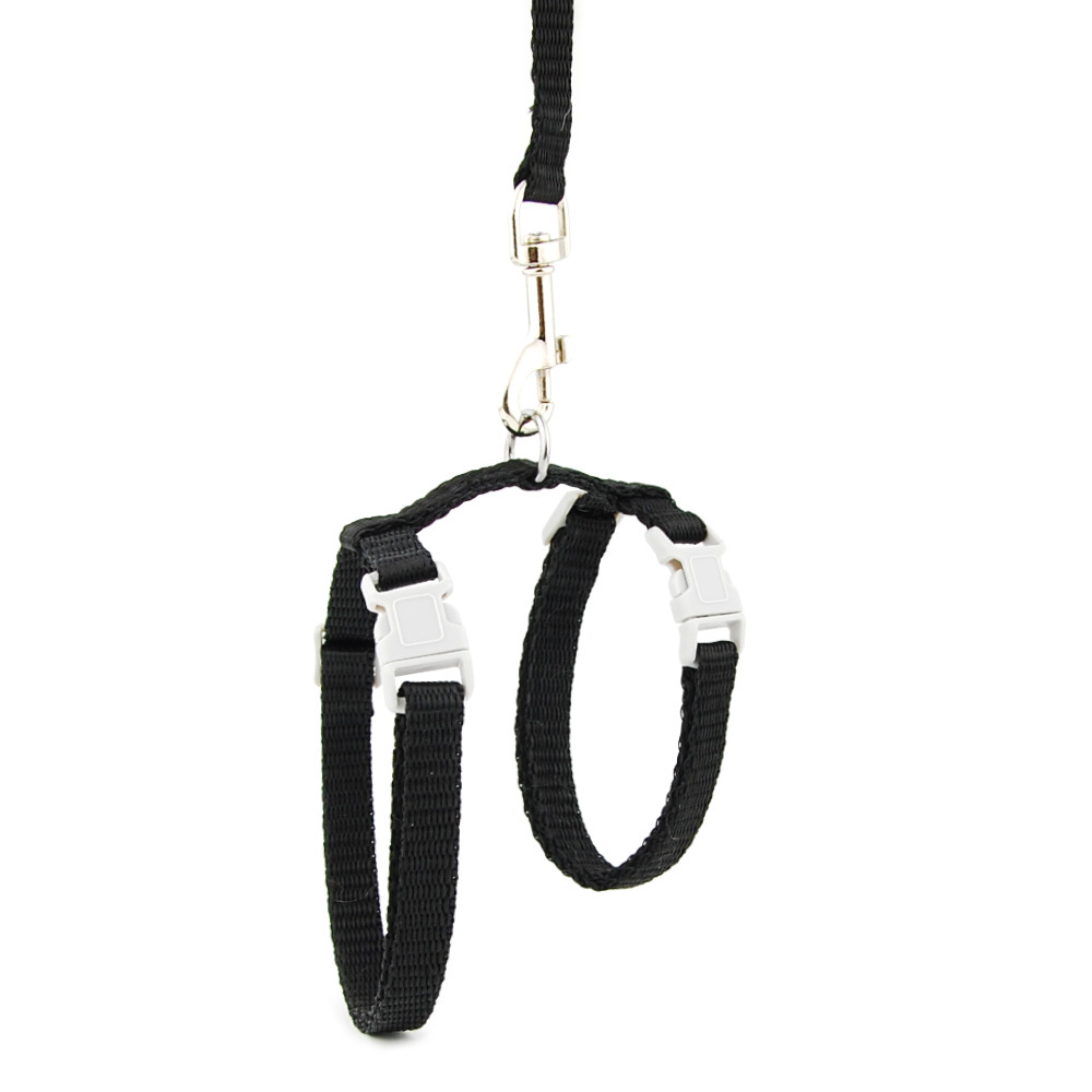 cat harness leash solid black.