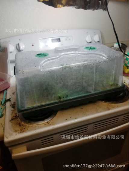 微信图片_20201107180911