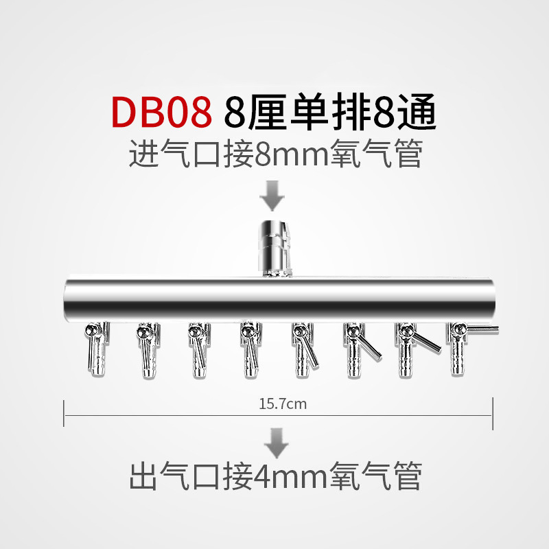 DB08